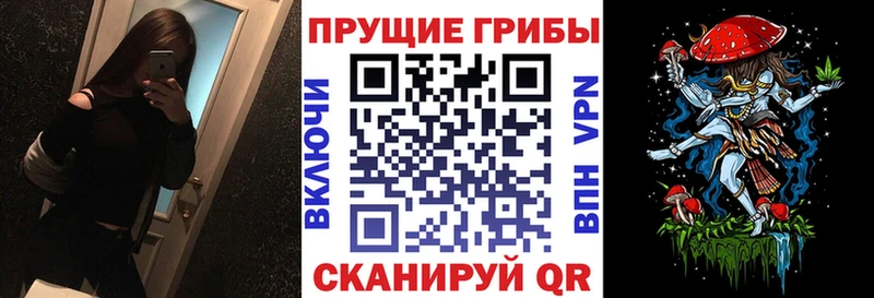 Псилоцибиновые грибы Magic Shrooms  Ленинградская 