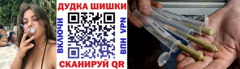 Марихуана план  Ленинградская 
